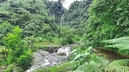 curug-sawer-manglid-cidahu-sukabumi