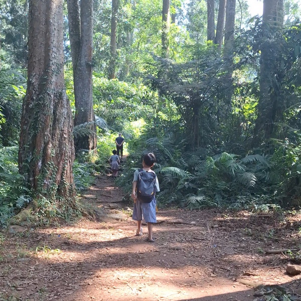 jalur trekking melalui hutan damar ke curug dua undak via Camp Nusantara Cidahu