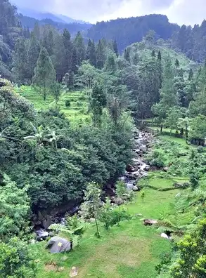 Camp Nusantara Cidahu Camping Ground dekat Jakarta